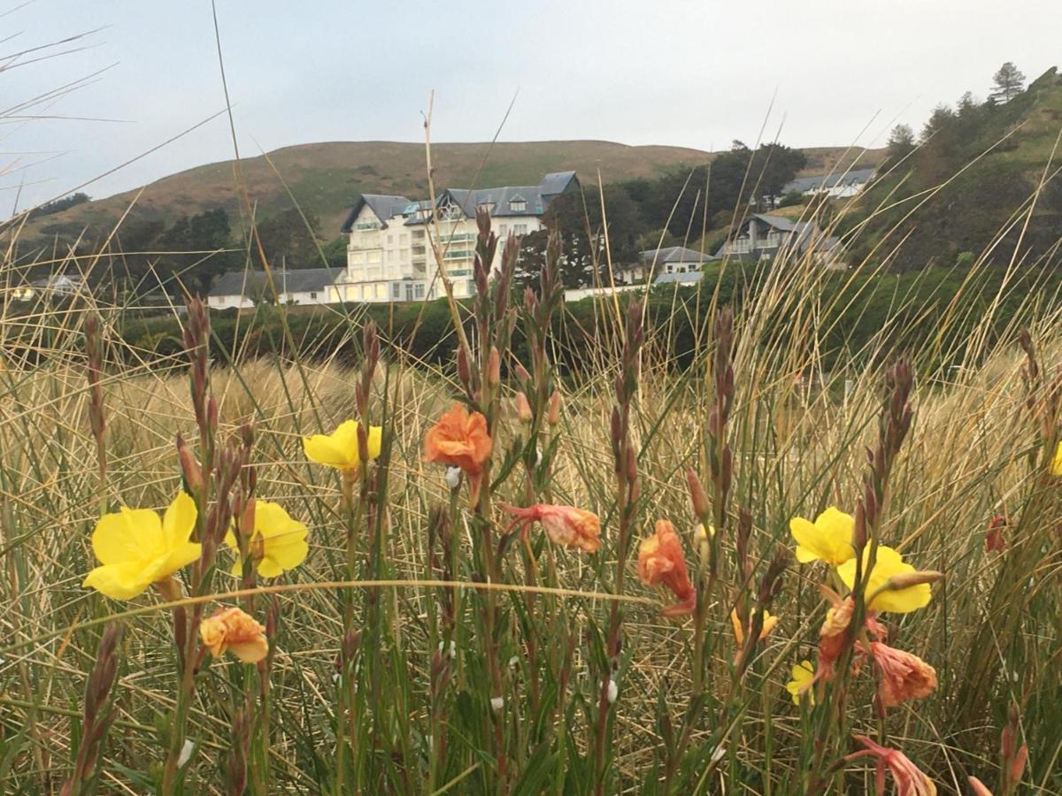 Beautiful Aberdovey Seafront Apartment 2 Aberdyfi Eksteriør billede